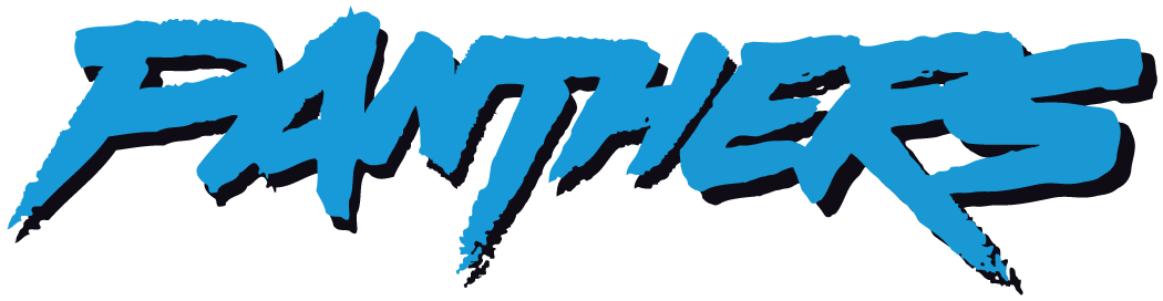 Carolina Panthers 1995-2011 Wordmark Logo iron on paper